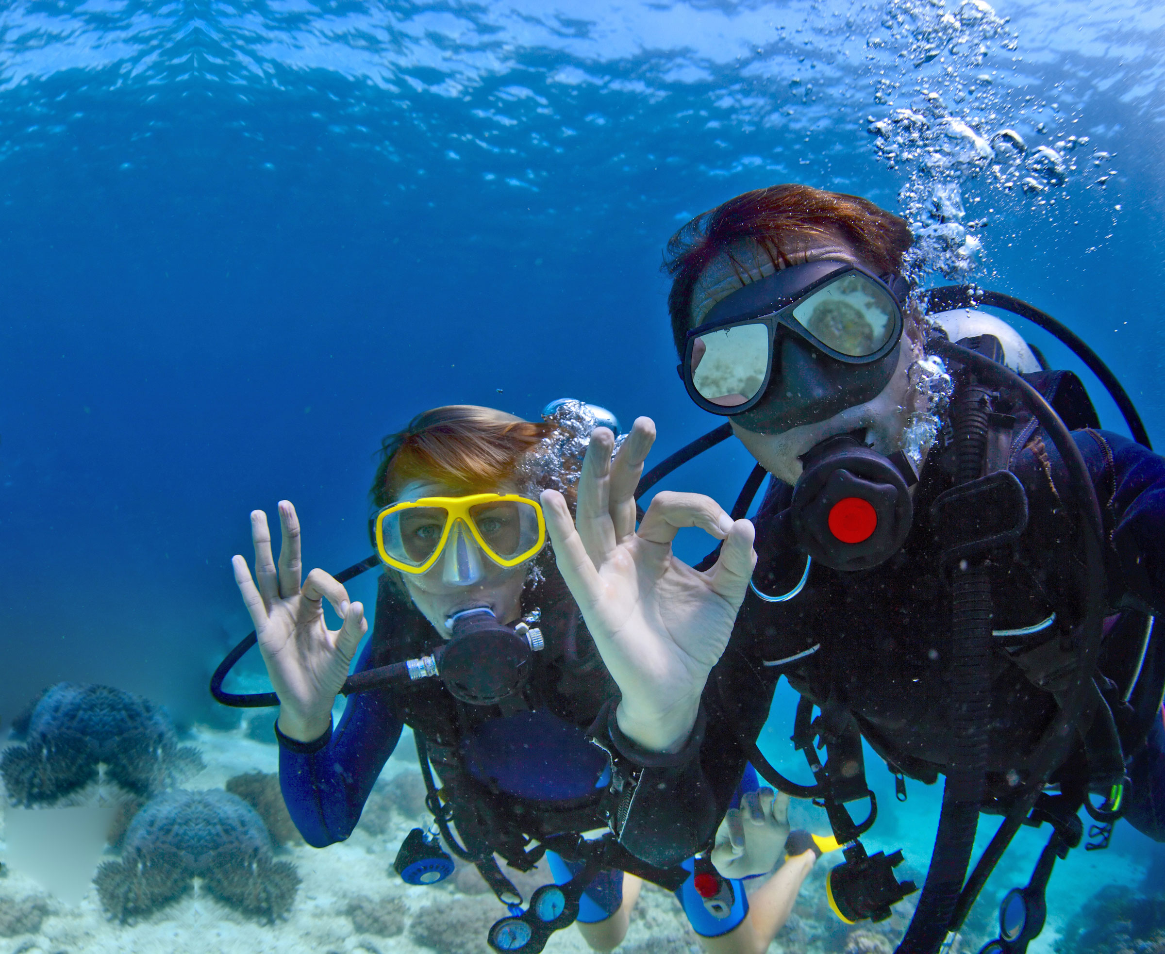 Scuba Diving Tour in Miches | Ancila Tours